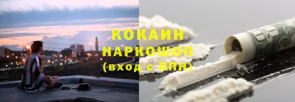 соль ск Мосальск