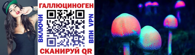наркошоп блэк спрут как войти Псилоцибиновые грибы мицелий Осинники