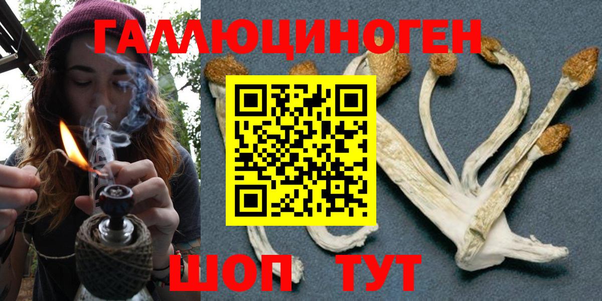Галлюциногенные грибы мухоморы  Вход с VPN  Осинники  Галлюциногенные грибы GOLDEN TEACHER 